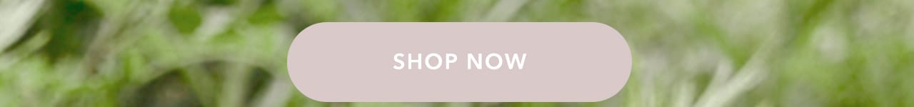 Turn your images on. Shop Aerie
