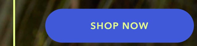 Turn your images on. Shop Aerie