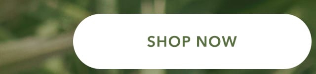 Turn your images on. Shop Aerie