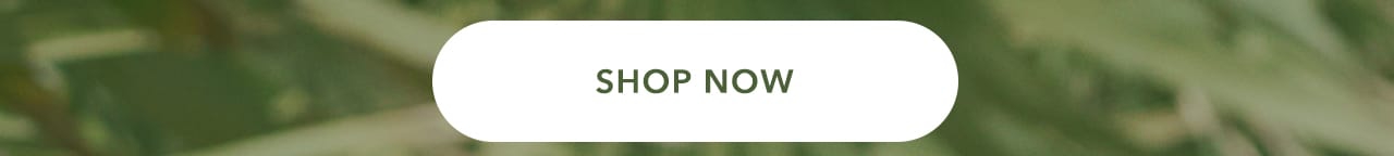 Turn your images on. Shop Aerie