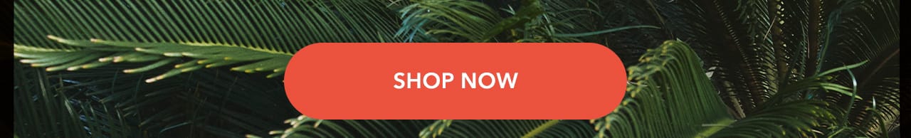 Turn your images on. Shop AEO
