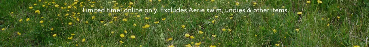 Turn your images on. Shop AEO