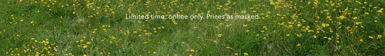 Turn your images on. Shop AEO