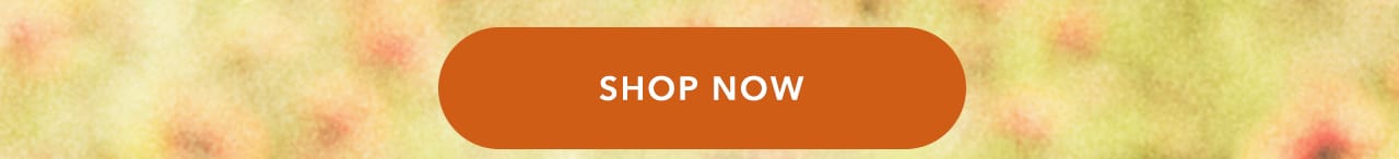 Turn your images on. Shop Aerie