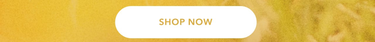 Turn your images on. Shop AEO