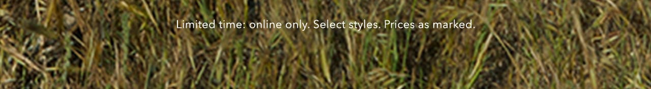 Turn your images on. Shop AEO