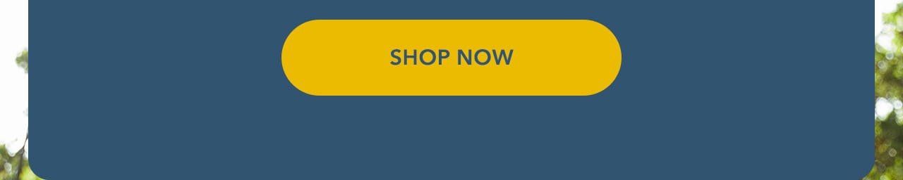 Turn your images on. Shop AEO