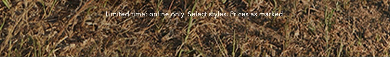 Turn your images on. Shop AEO