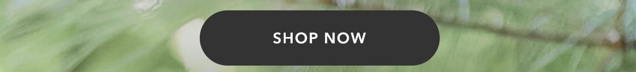 Turn your images on. Shop Aerie