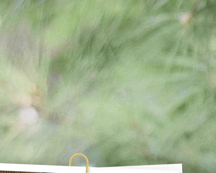 Turn your images on. Shop Aerie