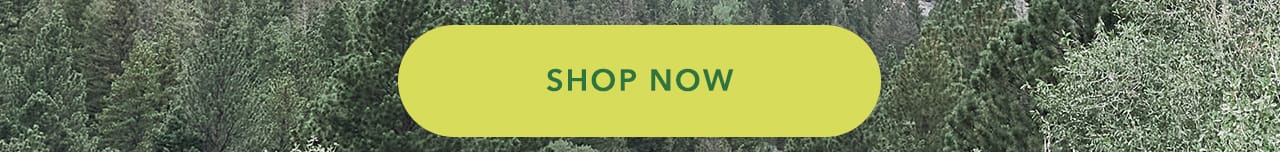 Turn your images on. Shop Aerie