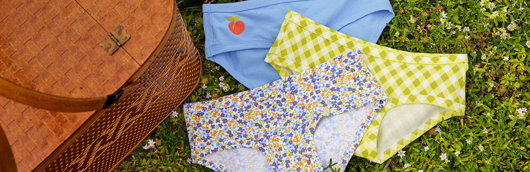 aerie multipack undies displayed on grass next to picnic basket