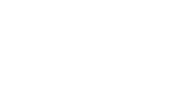 Smoothez by Aerie logo