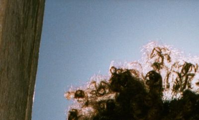 50% Off All Tees & Tanks