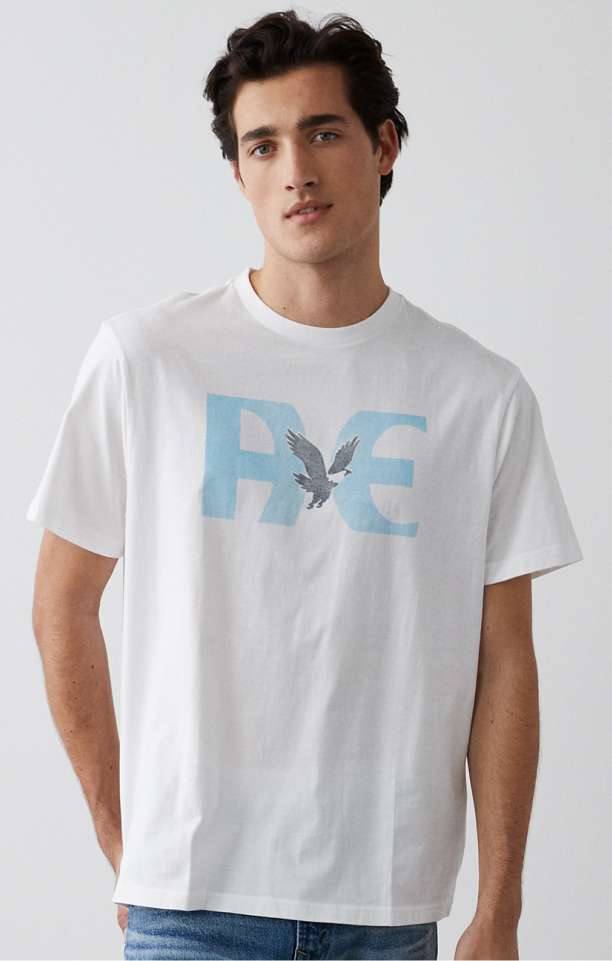 Men's Shirts, Graphic Tees, and Hoodies | American Eagle