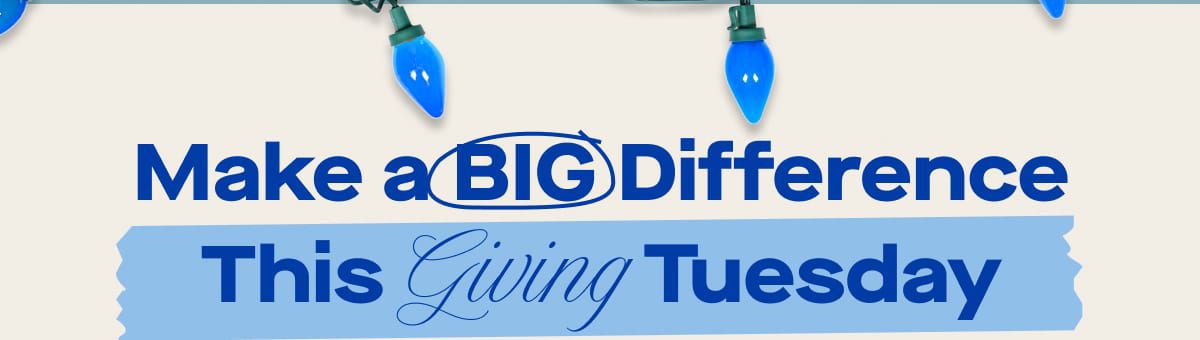 Make a BIG Difference This Giving Tuesday