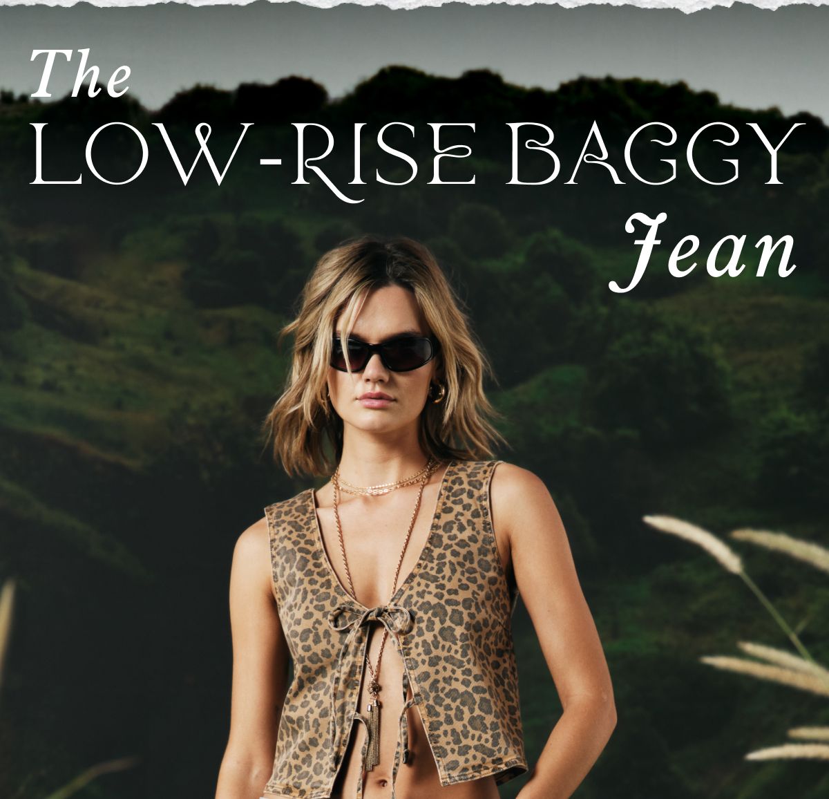 The Low-Rise Baggy Jean