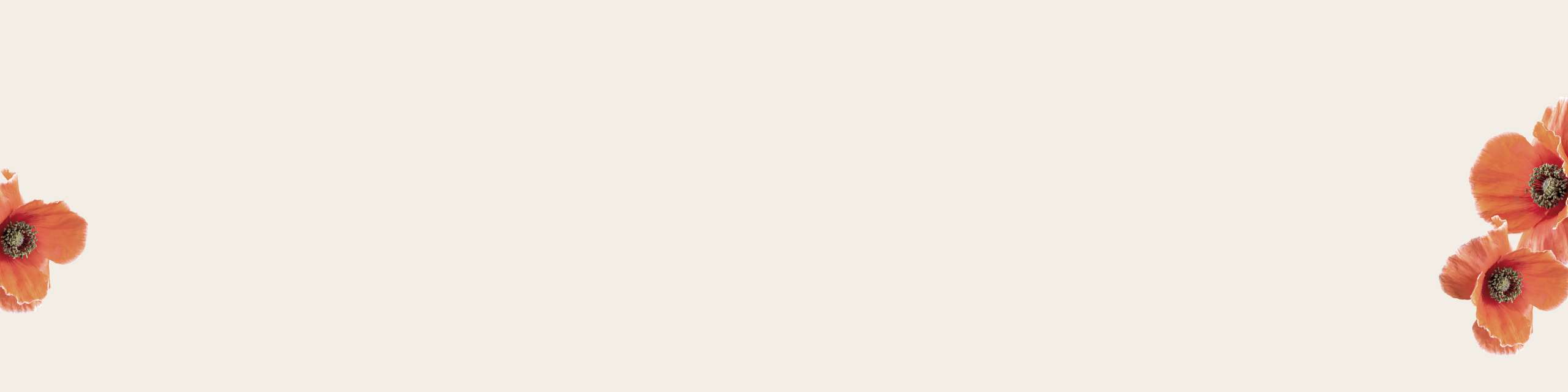 Men's & Women's Jeans, Clothes & Accessories | American Eagle Men's & Women's Jeans, Clothes & Accessories | American Eagle