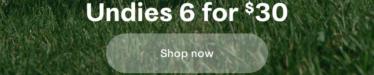Undies 6 for $30 | Shop now 