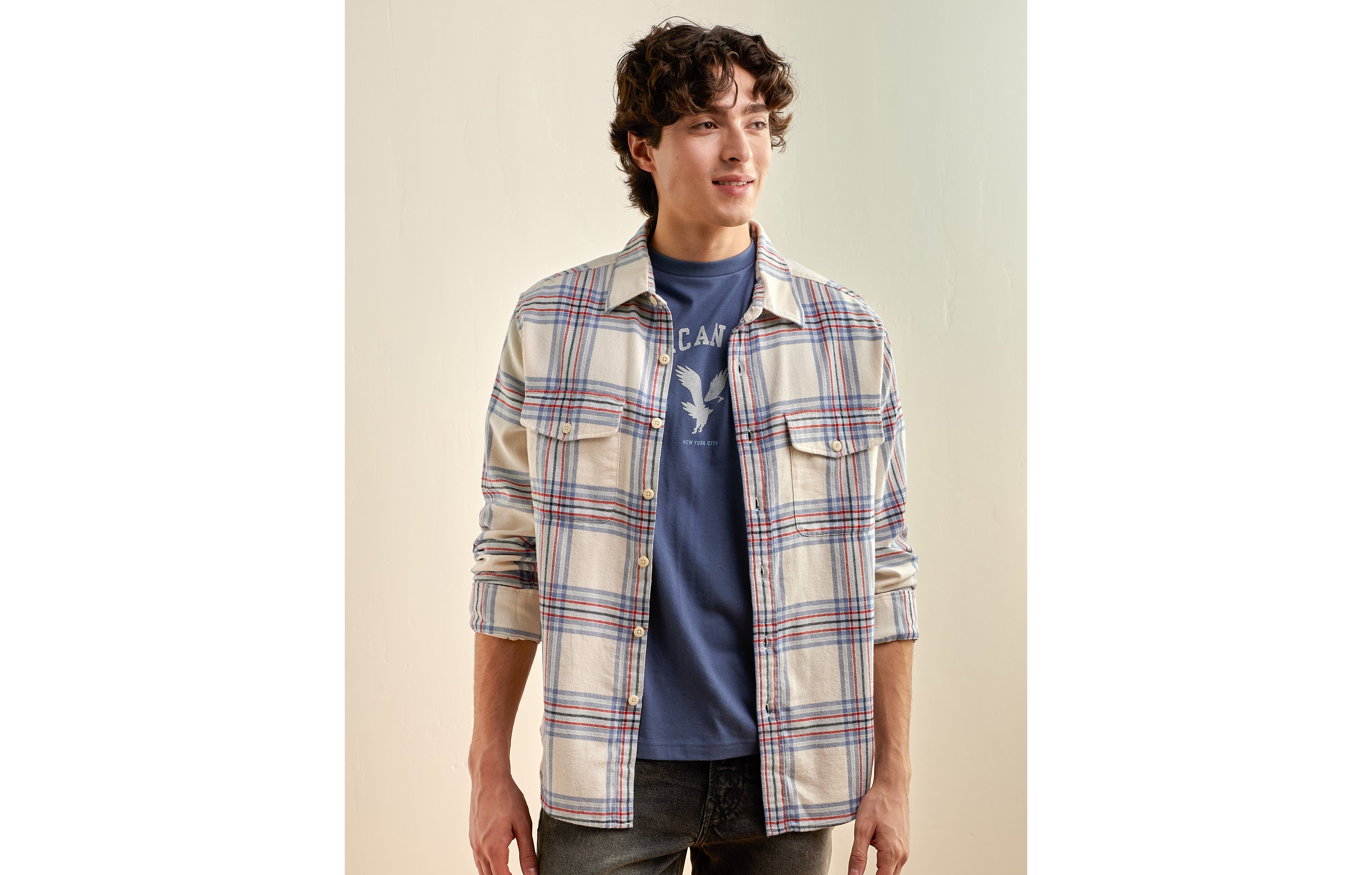 AE Relaxed Fit Everyday Flannel Shirt