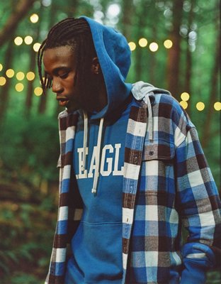 Ae super soft flannel hoodie sale