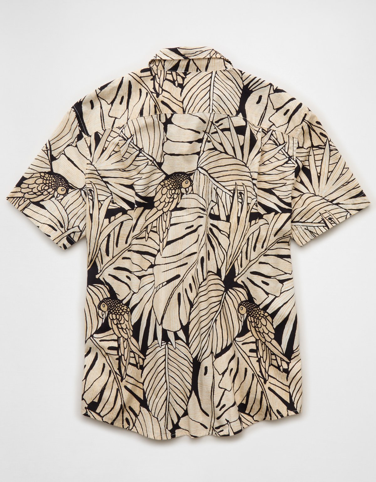 AE Standard Fit Poplin Button-Up Shirt - image 4