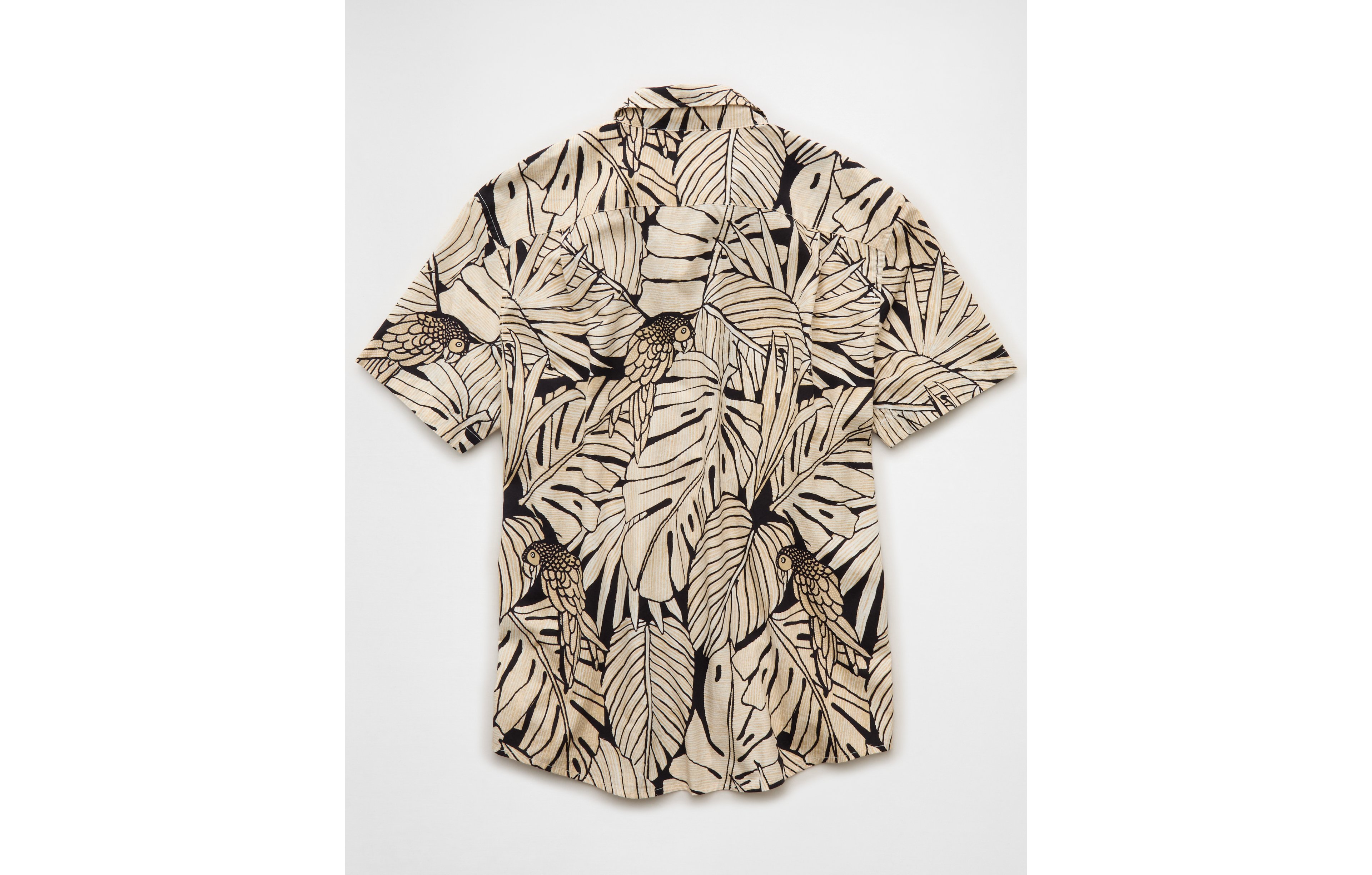 AE Standard Fit Poplin Short-Sleeve Button-Up Shirt