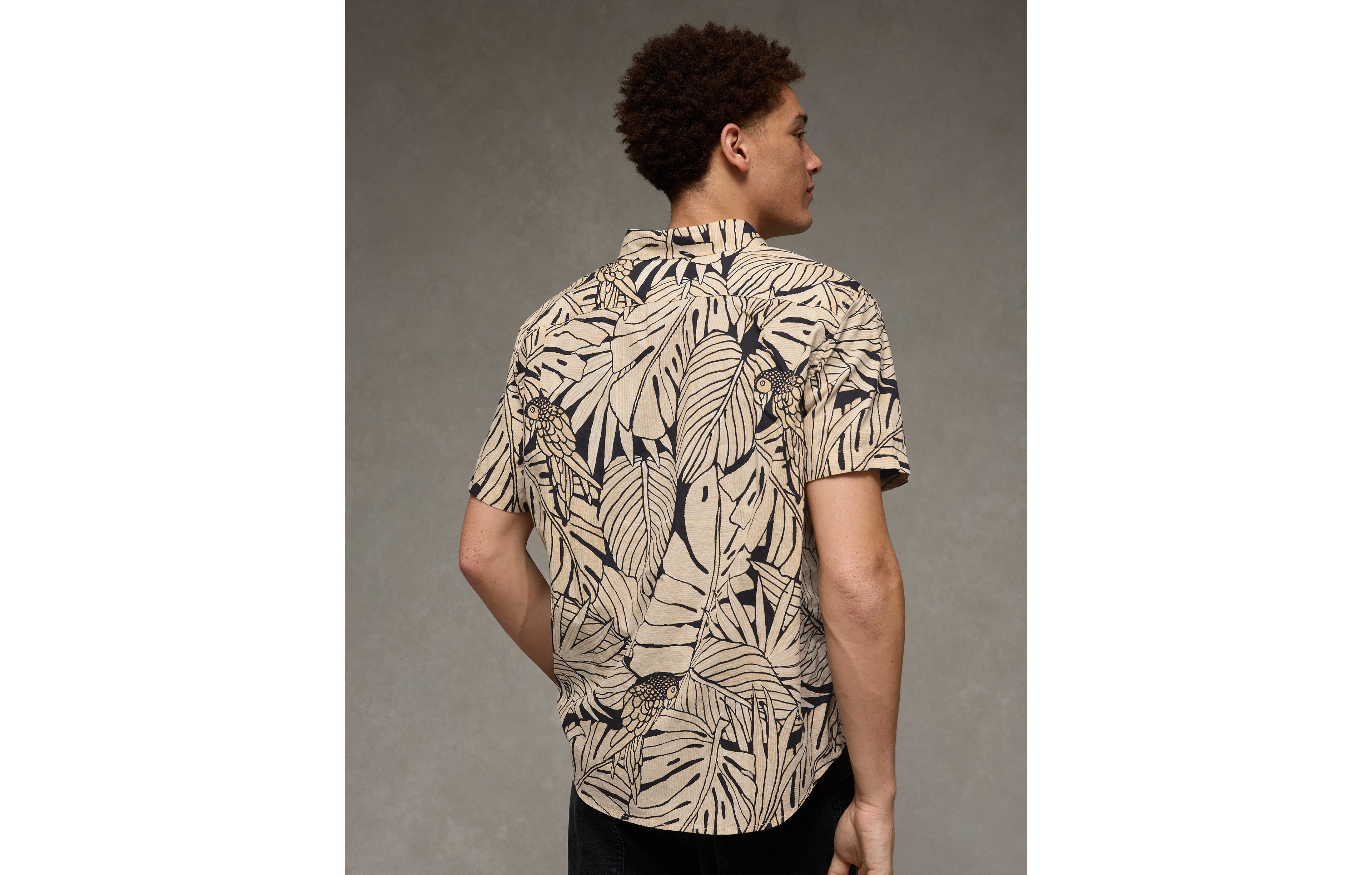 AE Standard Fit Poplin Short-Sleeve Button-Up Shirt