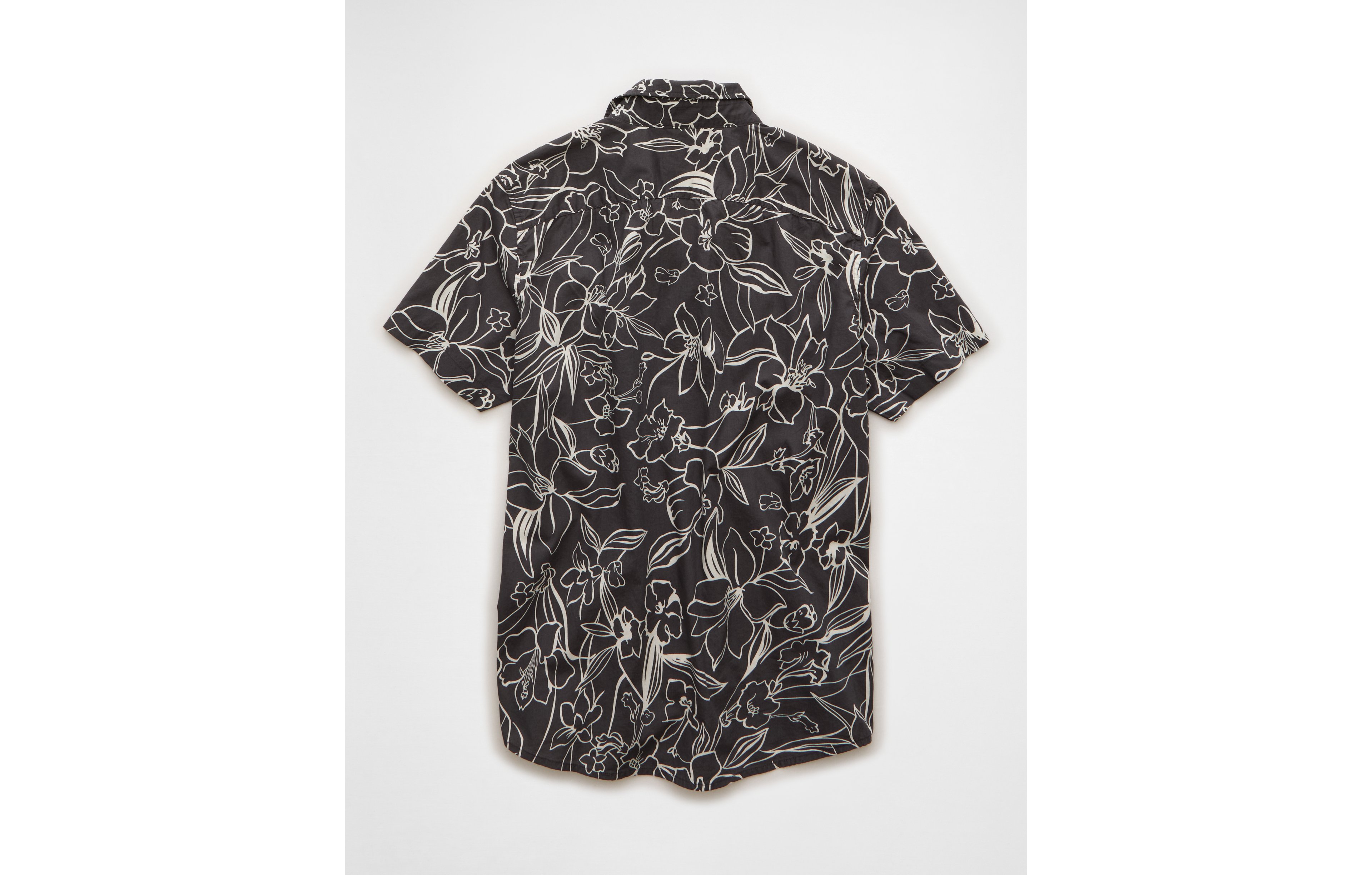 AE Slim Fit Button-Up Shirt