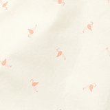 Cocoa Cream
