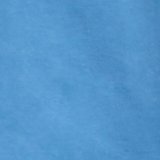 Rome Blue
