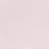 Pink Petal