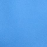 Rome Blue