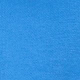 Rome Blue