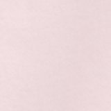 Pink Petal