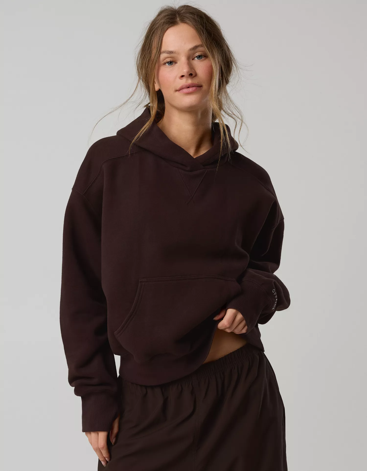 OFFLINE By Aerie Cloud Fleece Classic Length Hoodie