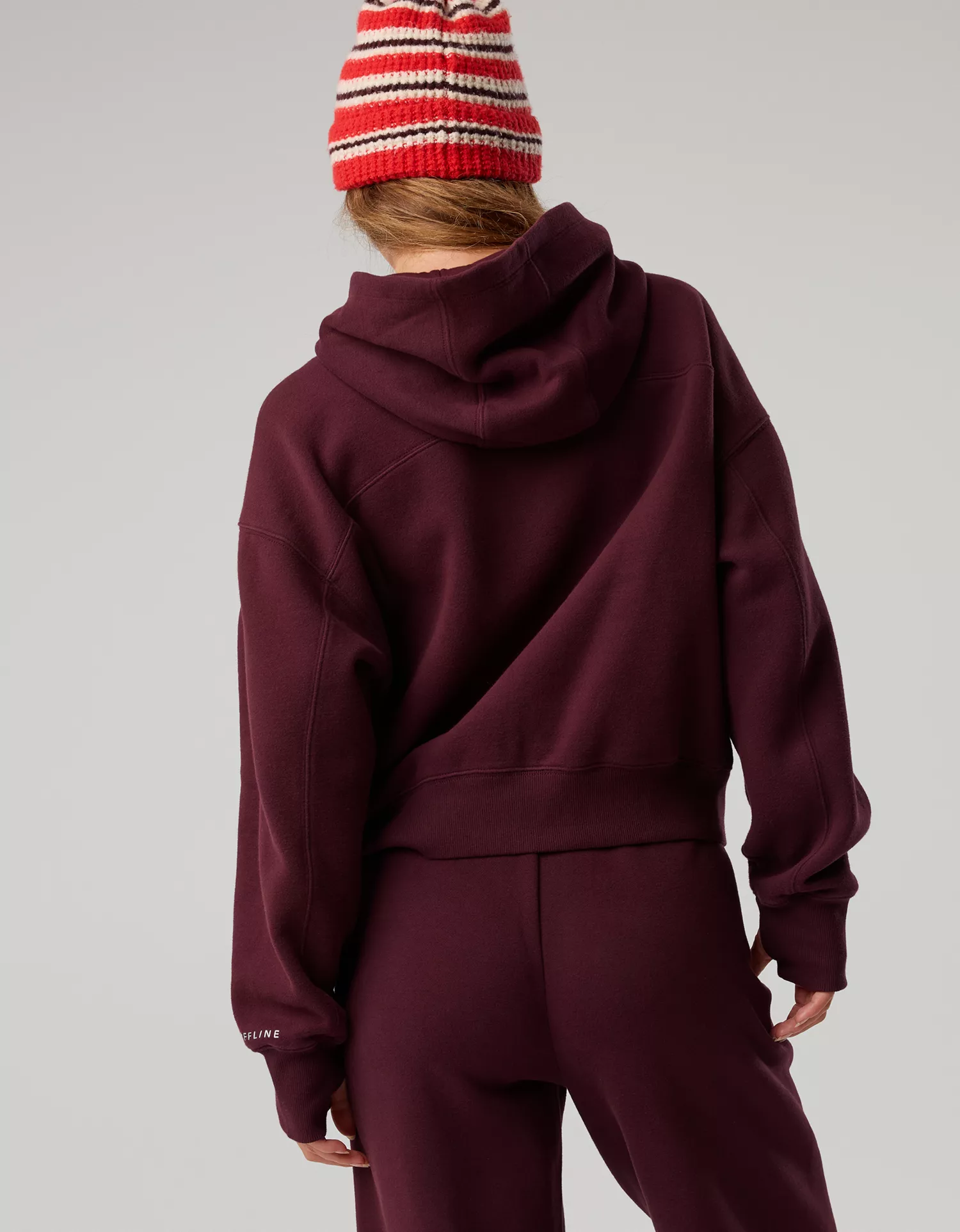 OFFLINE By Aerie Cloud Fleece Classic Length Hoodie - thumbnail 2