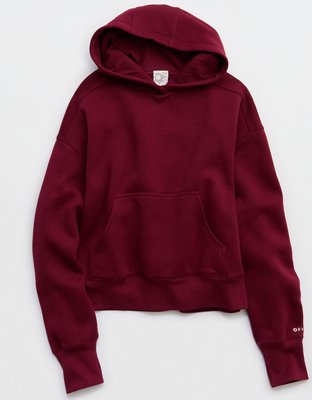 OFFLINE By Aerie Cloud Fleece Classic Length Hoodie
