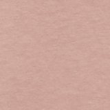 AE Lightweight Icon Long-Sleeve T-Shirt