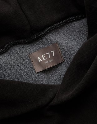 AE77 Premium Cropped Hoodie