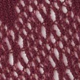 AE Lace Tights