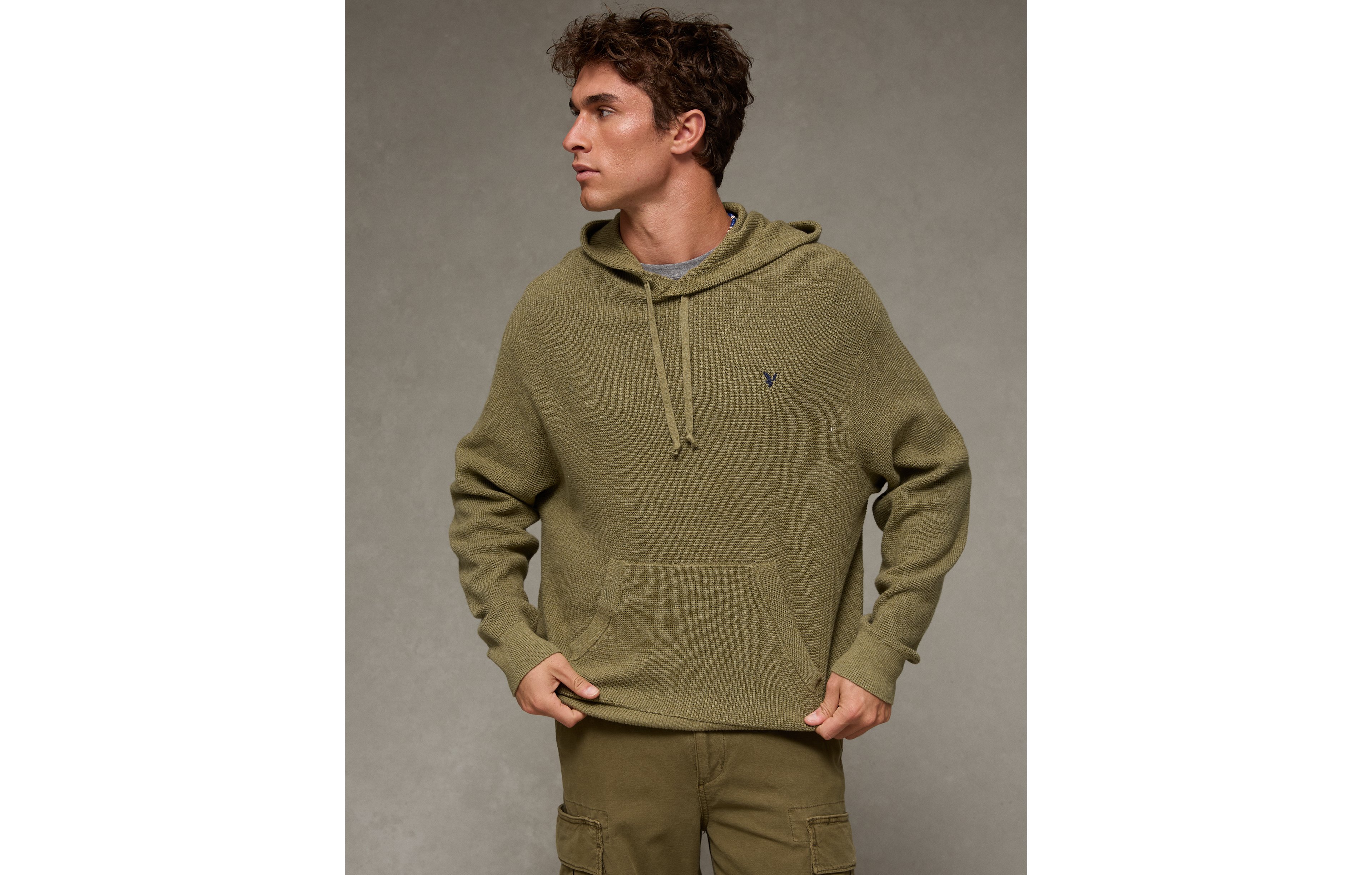 AE Lightweight Icon Sweater Hoodie