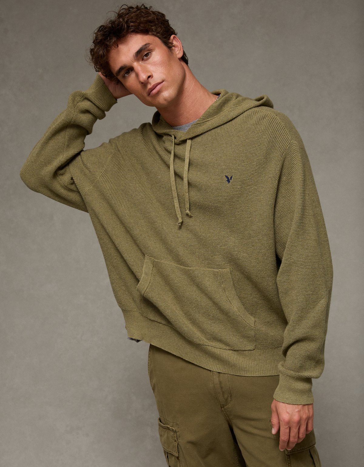 AE Lightweight Icon Sweater Hoodie - image 5