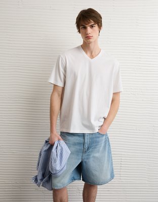 AE Lived-In V-Neck T-Shirt