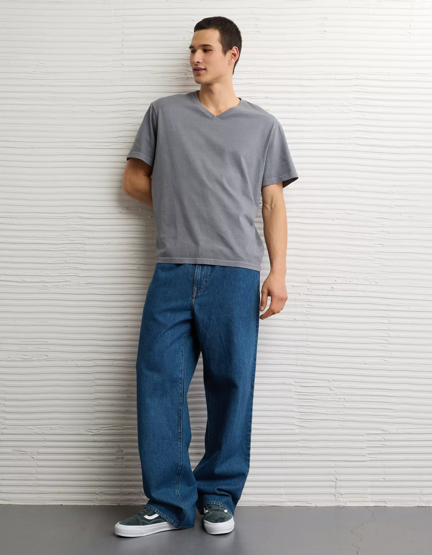 AE Standard Fit Lived-In V-Neck T-Shirt