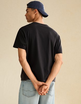 AE Standard Fit Lived-In V-Neck T-Shirt