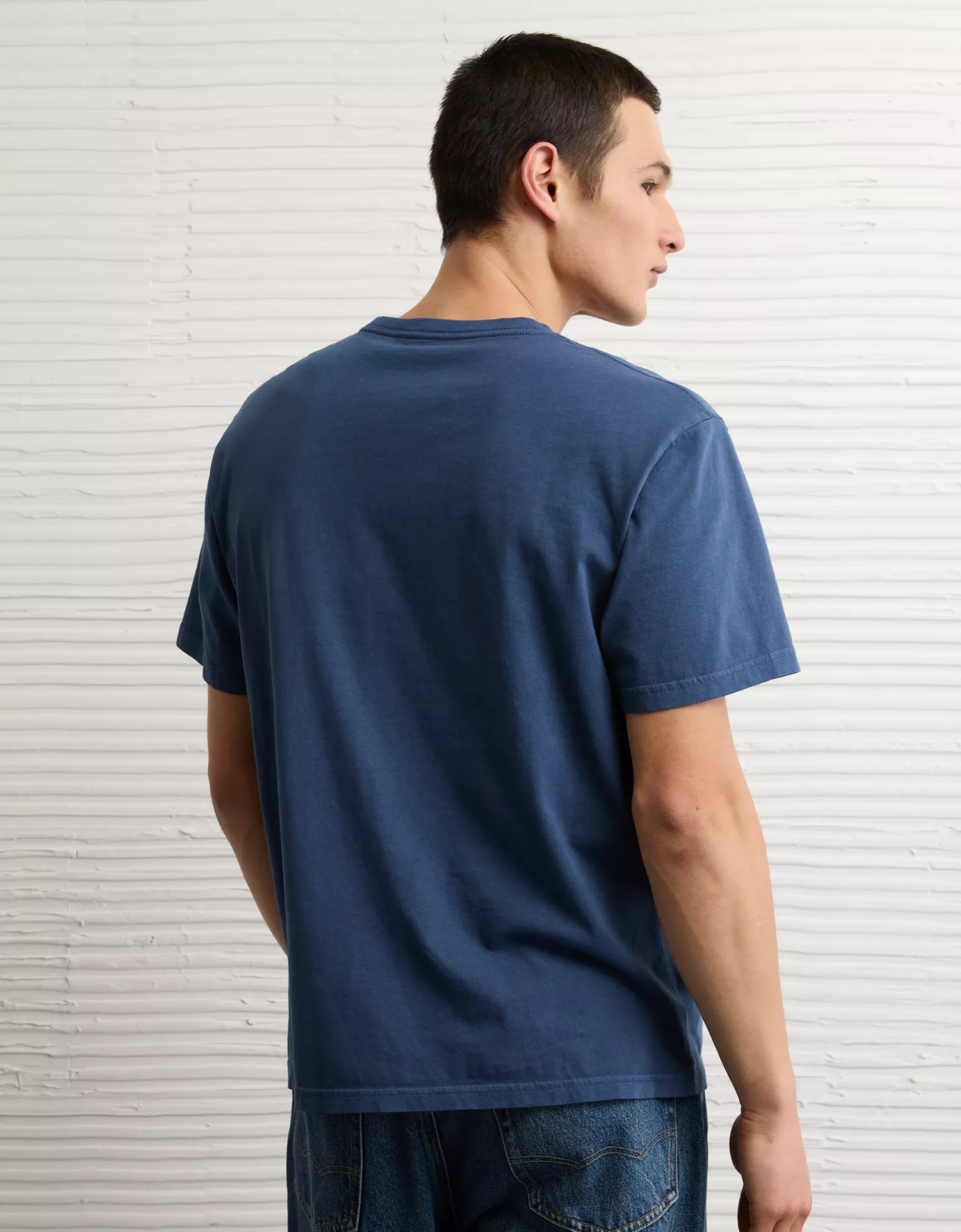 AE Standard Fit Lived-In V-Neck T-Shirt - thumbnail 8