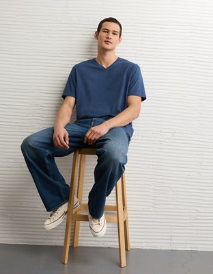 AE Lived-In V-Neck T-Shirt