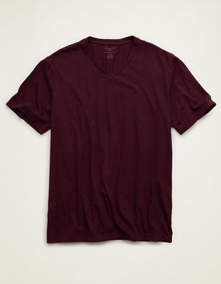 AE Standard Fit Lived-In V-Neck T-Shirt