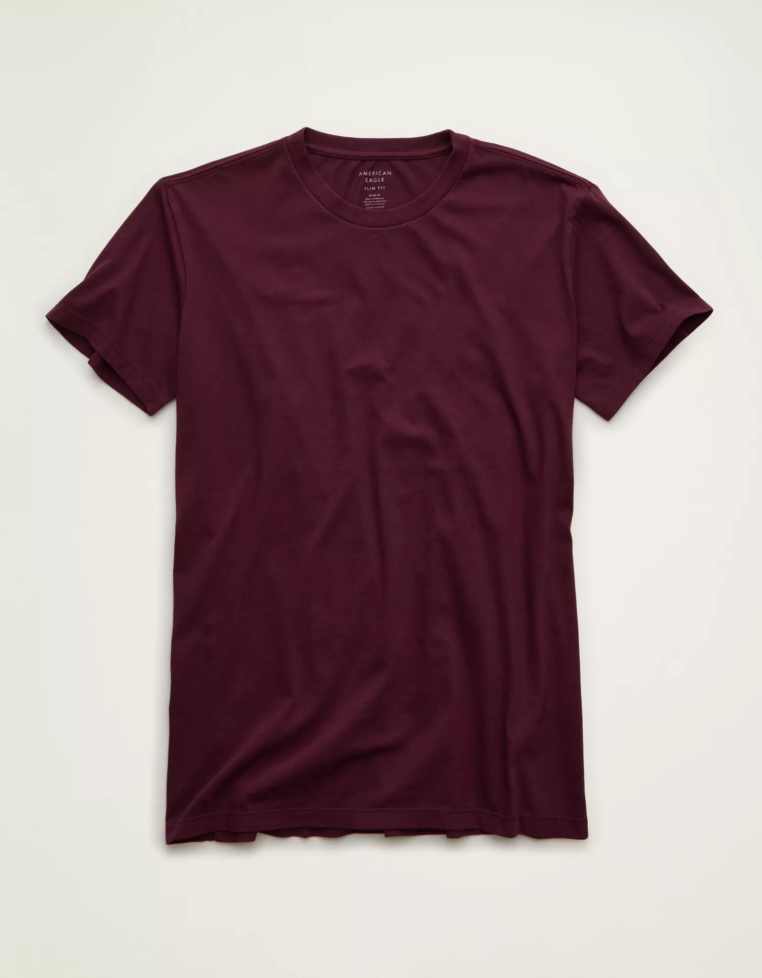 AE Slim Fit Lived-In T-Shirt - thumbnail 3